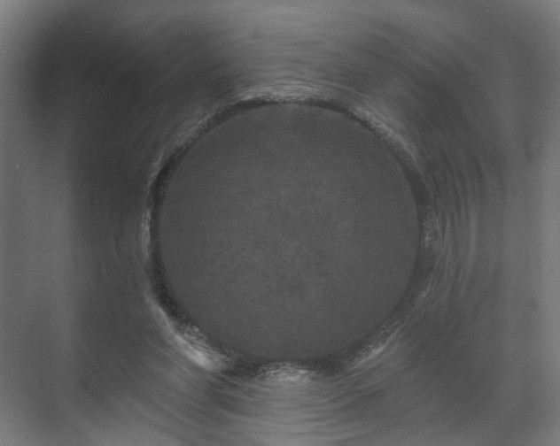 X0000070860206200606191325