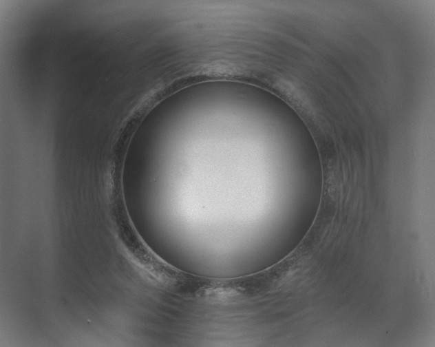 X0000070860208200606191325