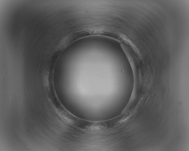 X0000070860209200606191325