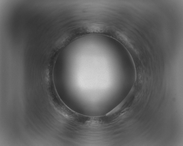 X0000070860211200606191325