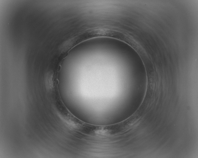 X0000070860216200606191325