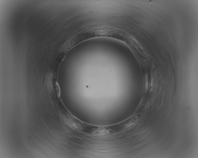 X0000070860217200606191325