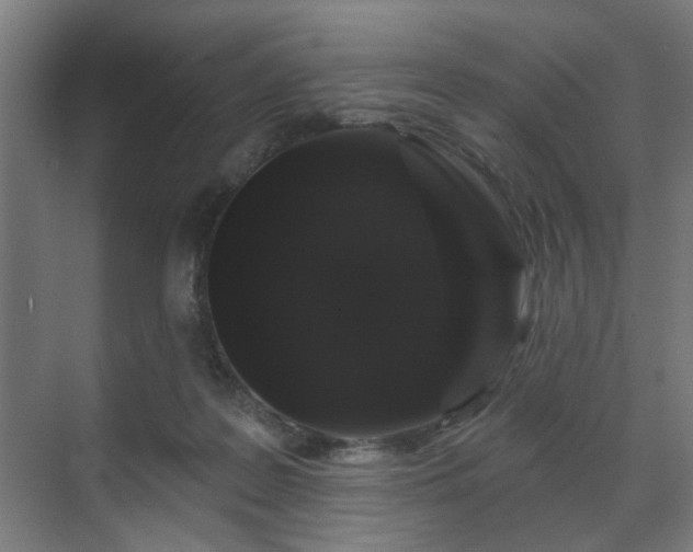 X0000070860219200606191325