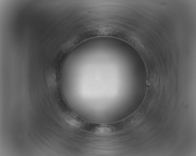 X0000070860220200606191325