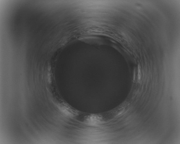 X0000070860223200606191325