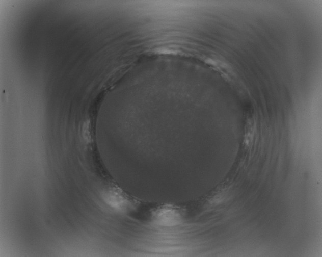 X0000070860224200606191325