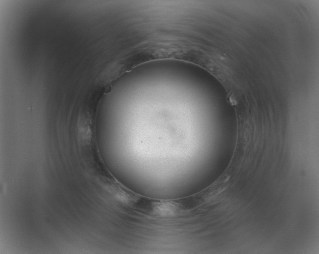 X0000070860226200606191325