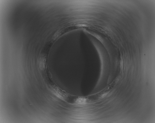 X0000070860227200606191325