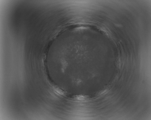 X0000070860229200606191325