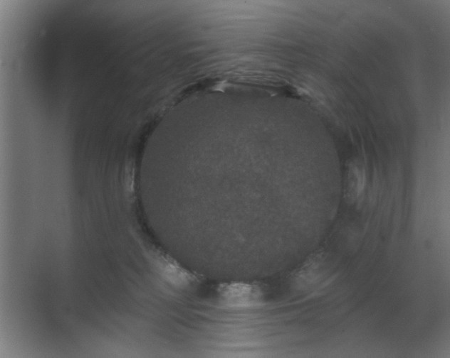 X0000070860230200606191325