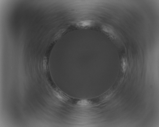 X0000070860231200606191325