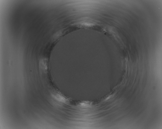 X0000070860232200606191324