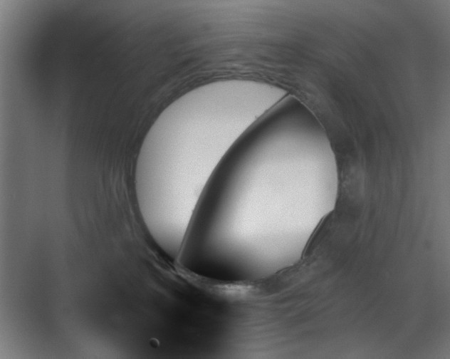 X0000070860233200606191324