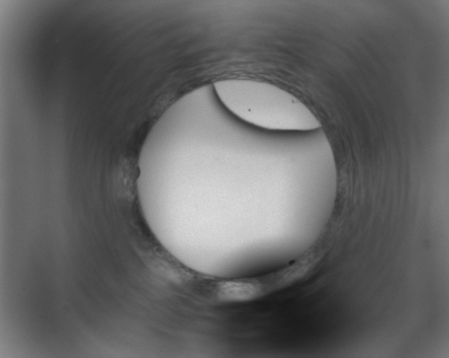 X0000070860234200606191324