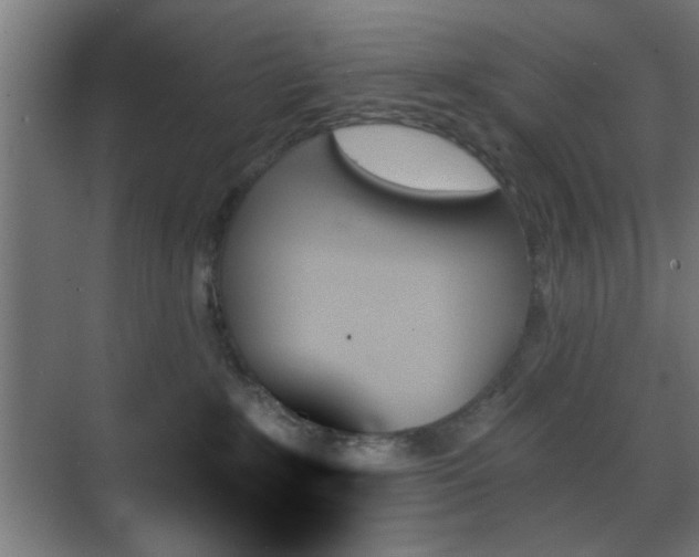 X0000070860235200606191324