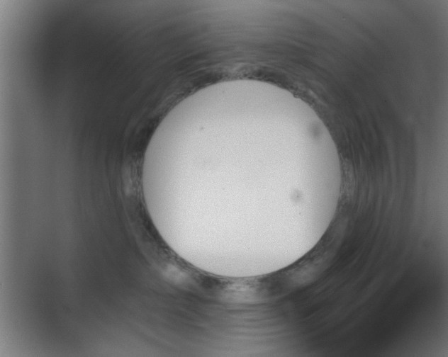 X0000070860236200606191324