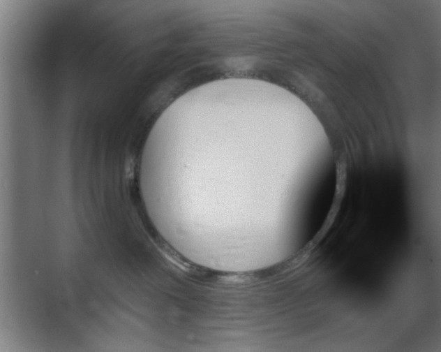 X0000070860238200606191324