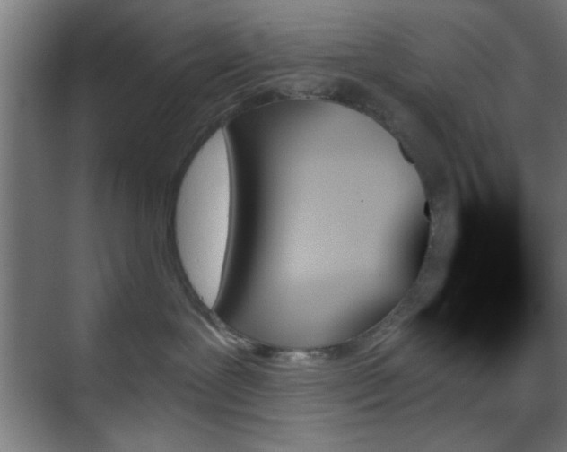 X0000070860239200606191324