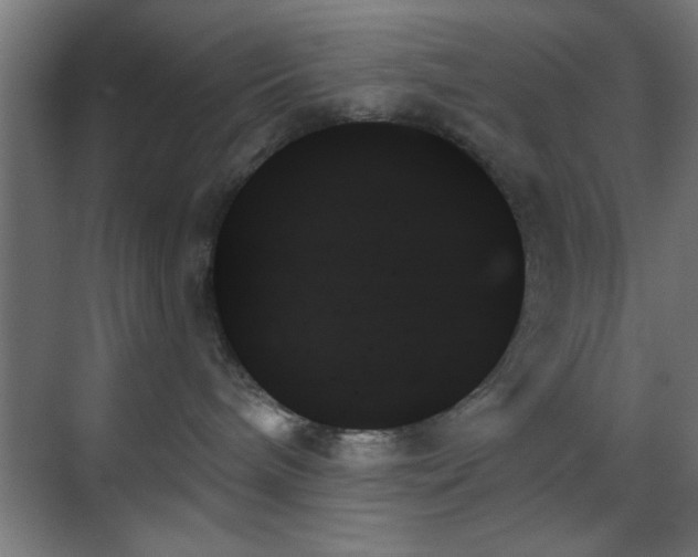 X0000070860240200606191324