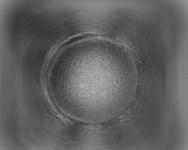 X0000070860241200606191324