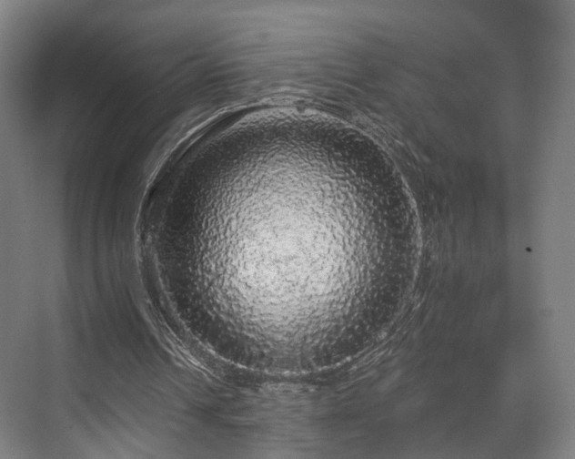 X0000070860242200606191324