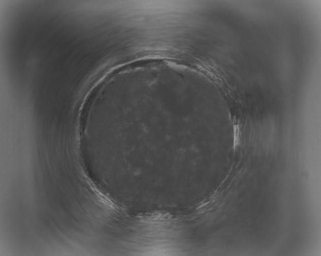 X0000070860243200606191324