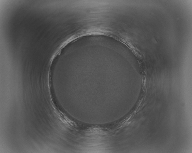 X0000070860244200606191324