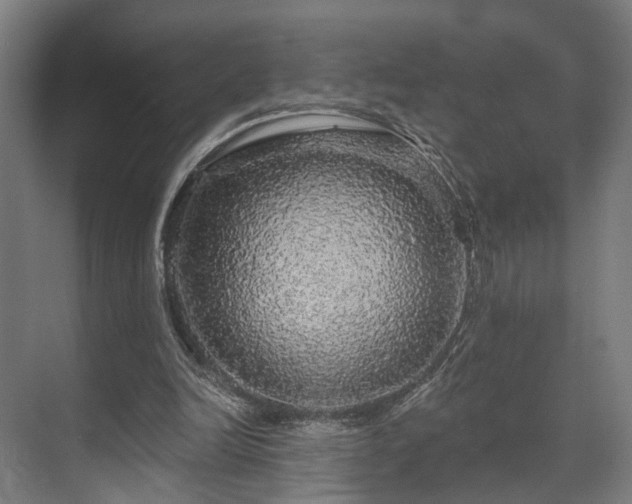 X0000070860246200606191324