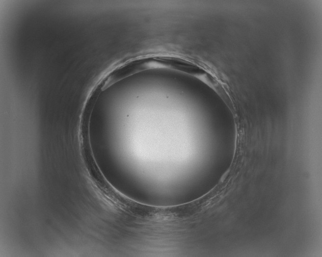 X0000070860248200606191324