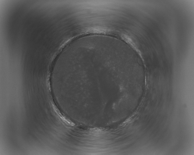 X0000070860249200606191324