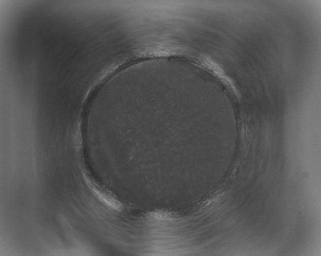 X0000070860250200606191324