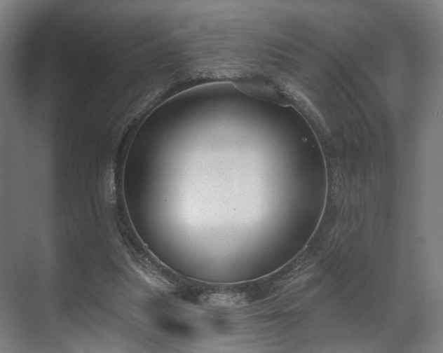 X0000070860251200606191324