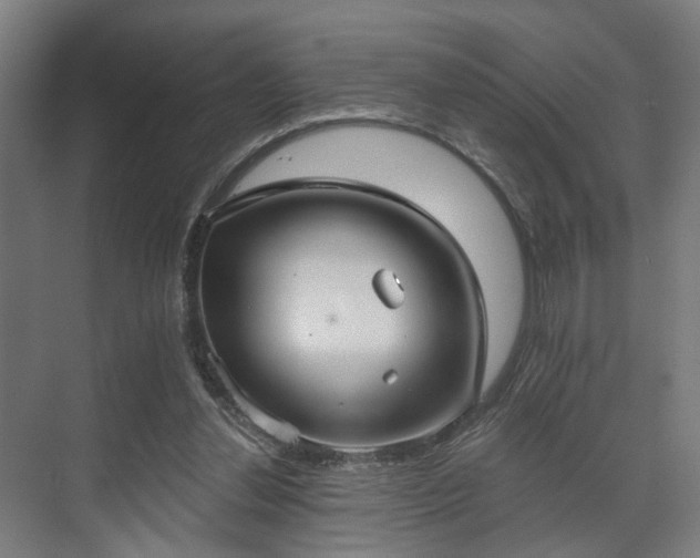 X0000070860252200606191324