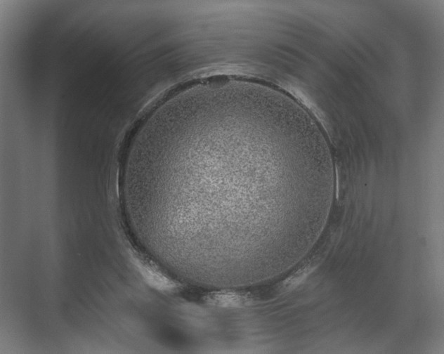 X0000070860253200606191324