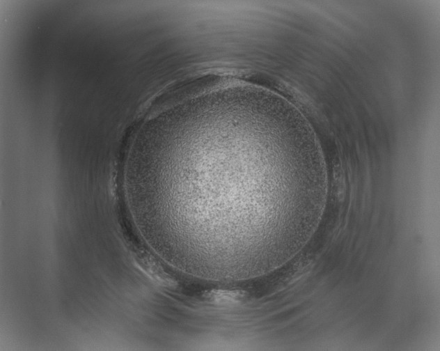 X0000070860255200606191324