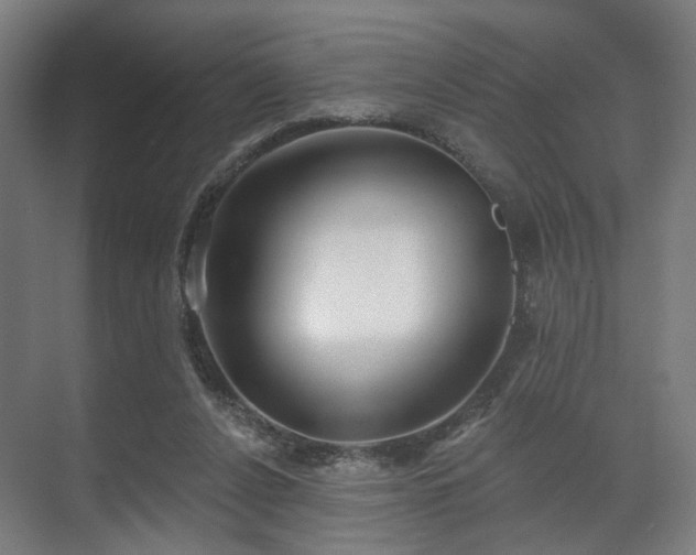 X0000070860256200606191324