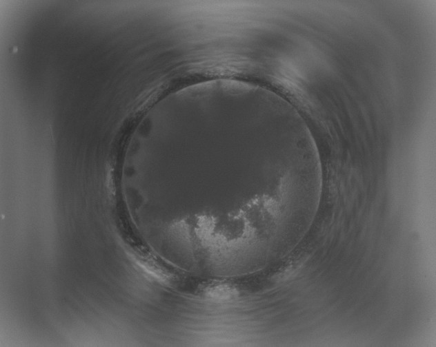 X0000070860258200606191324