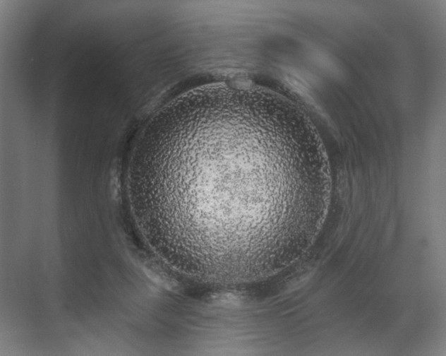 X0000070860259200606191324