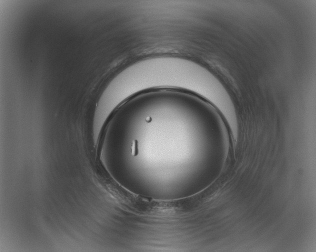 X0000070860260200606191324