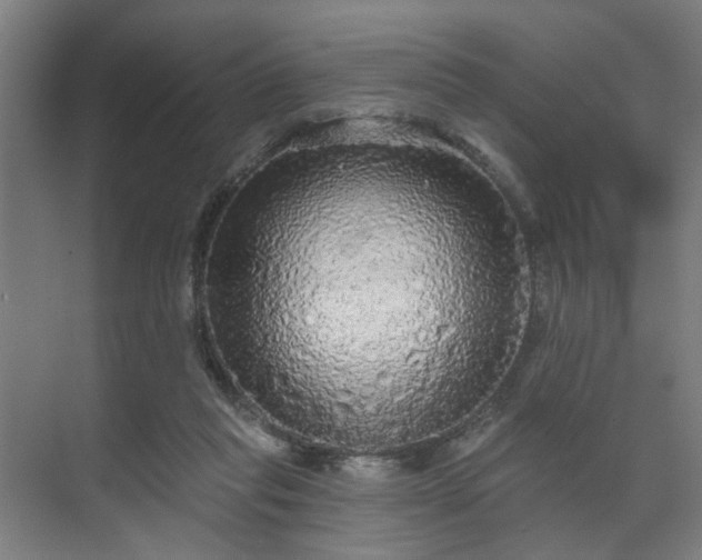 X0000070860261200606191324