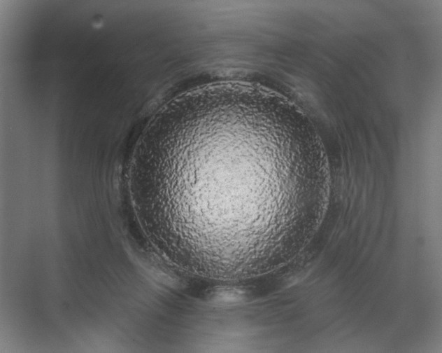 X0000070860263200606191324