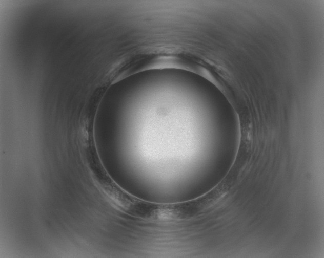 X0000070860264200606191324