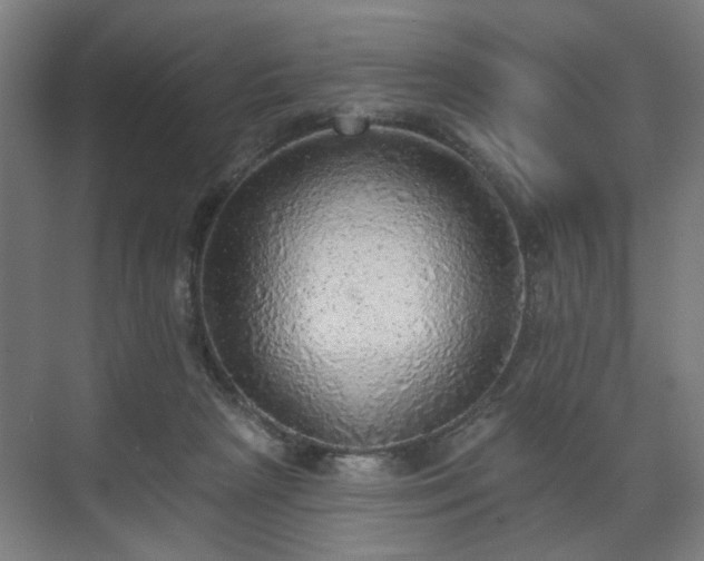 X0000070860265200606191324