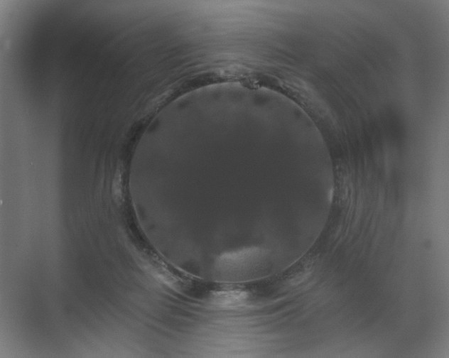 X0000070860266200606191324