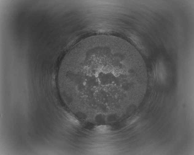 X0000070860269200606191324