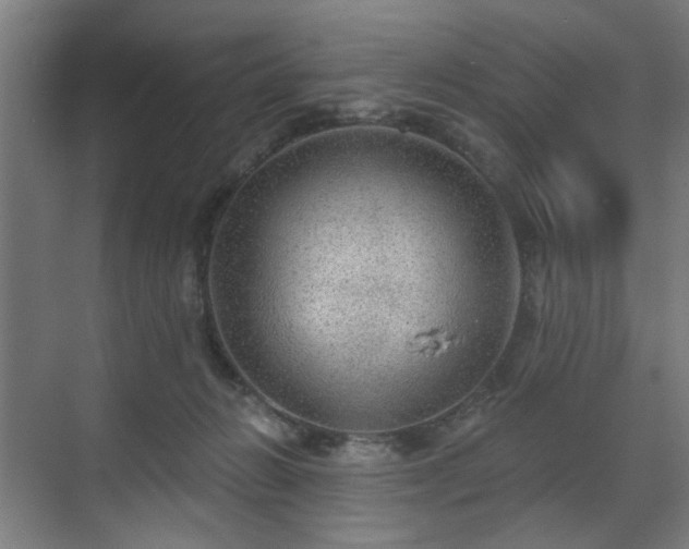 X0000070860270200606191324