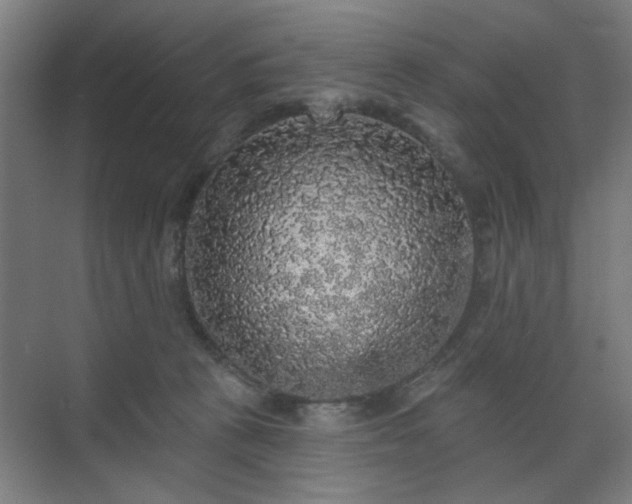 X0000070860273200606191324