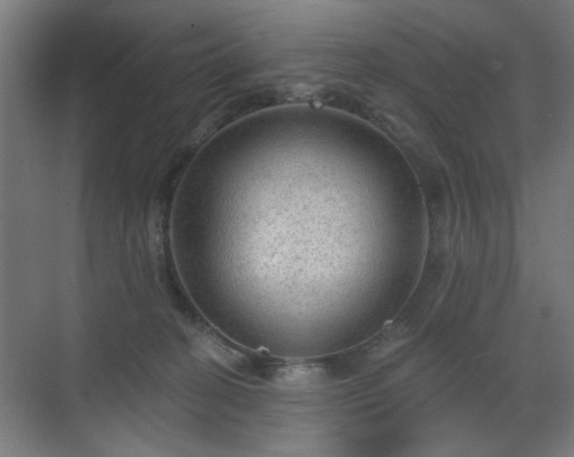 X0000070860274200606191324