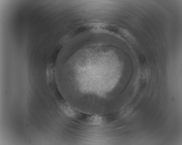 X0000070860276200606191324