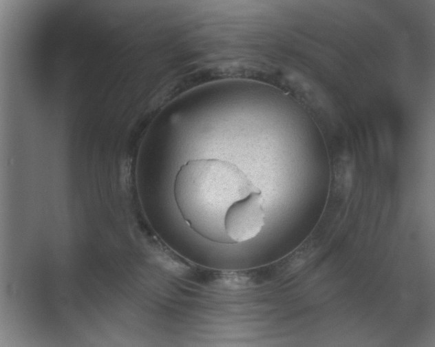 X0000070860278200606191324